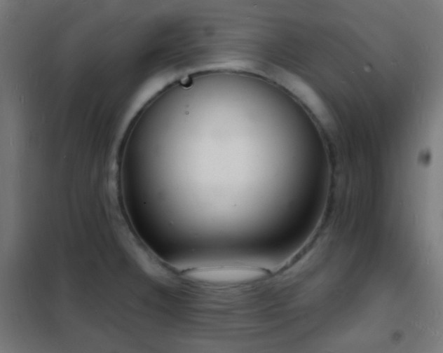 X0000102221332200807251201