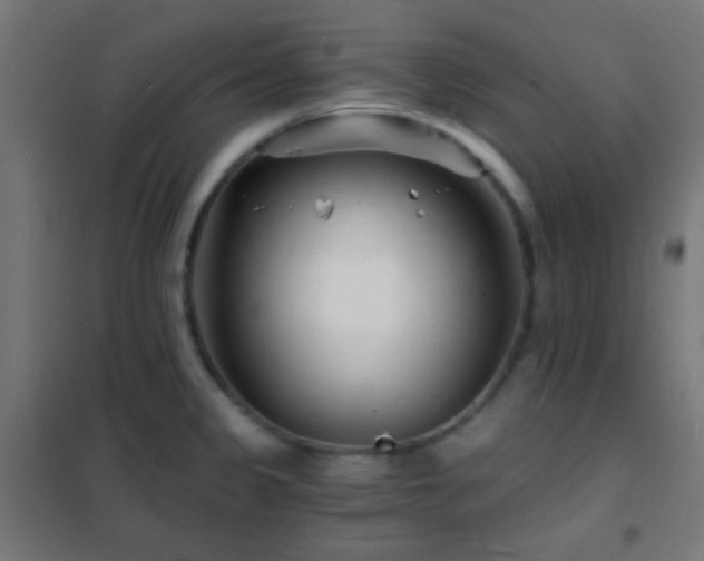 X0000102221333200807251201