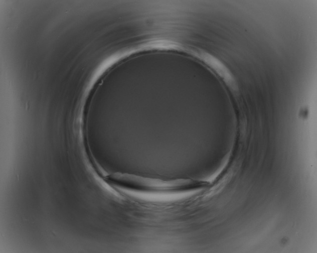 X0000102221334200807251201