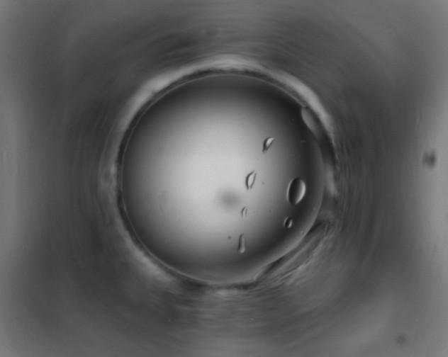 X0000102221335200807251201