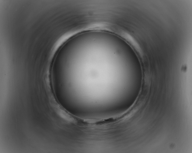 X0000102221336200807251201