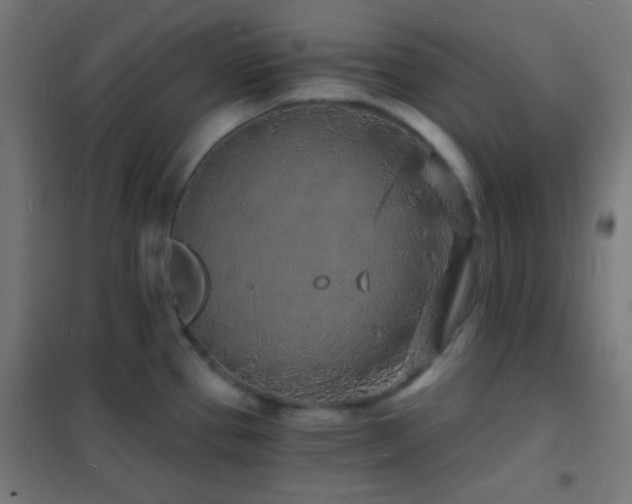 X0000102221337200807251201