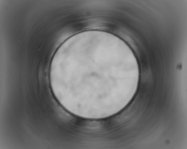 X0000102221338200807251202