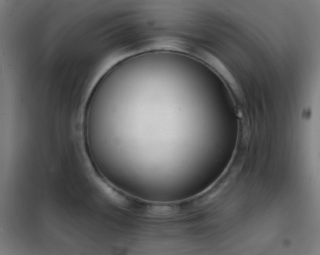 X0000102221339200807251202