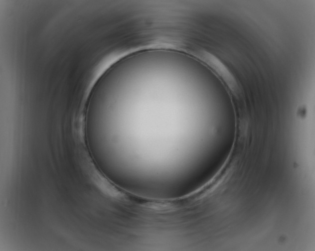 X0000102221340200807251202