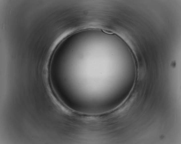 X0000102221341200807251202