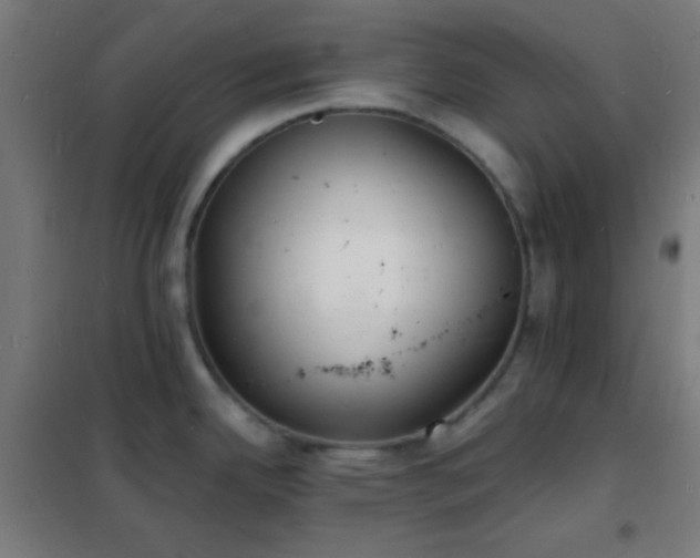 X0000102221342200807251202