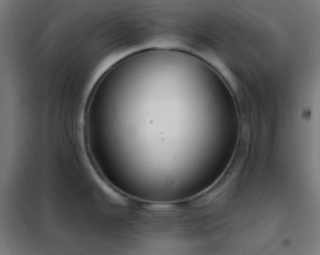 X0000102221343200807251202