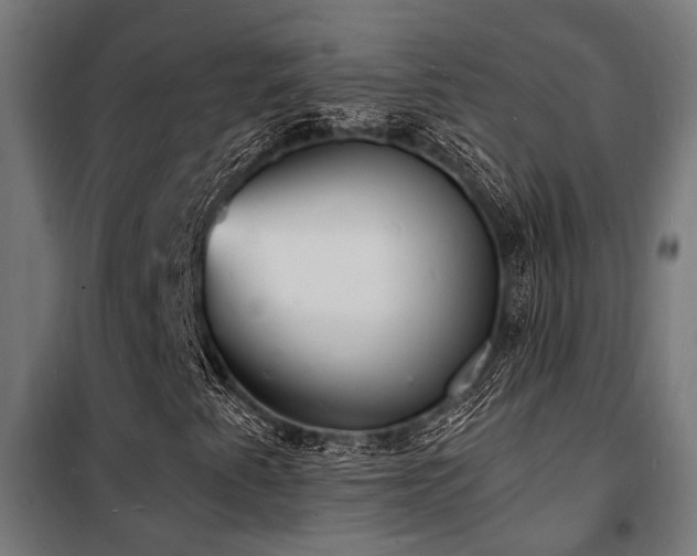 X0000102221345200807251201