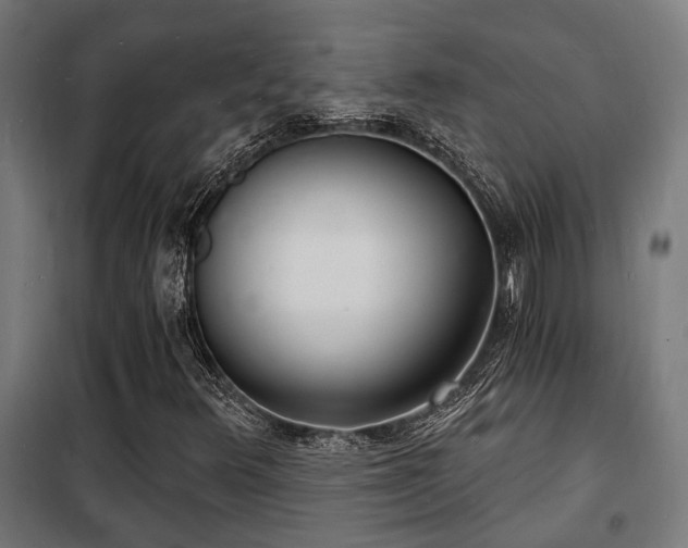 X0000102221348200807251201