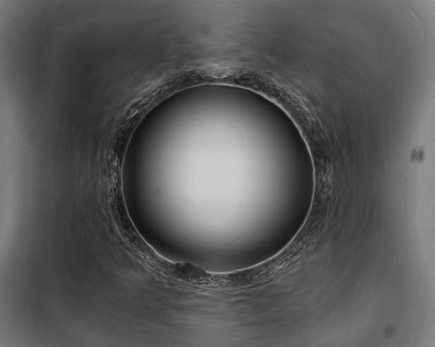 X0000102221349200807251201