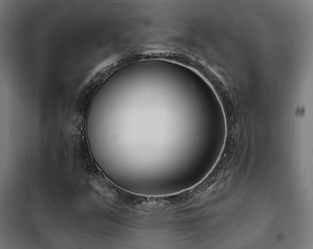 X0000102221351200807251201