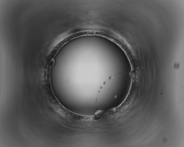 X0000102221352200807251201