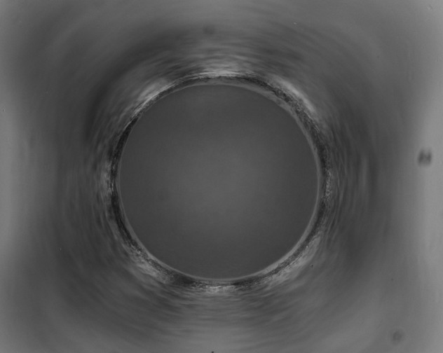 X0000102221353200807251201