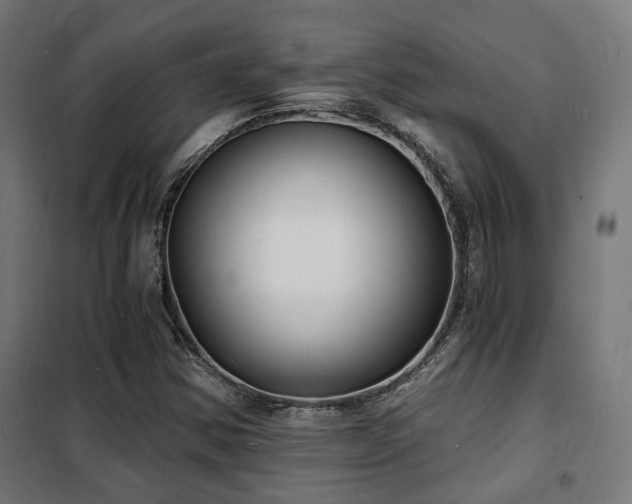 X0000102221354200807251201