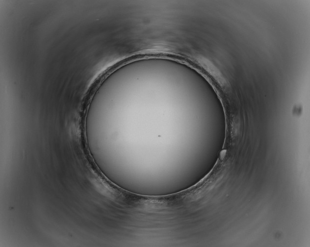 X0000102221356200807251201
