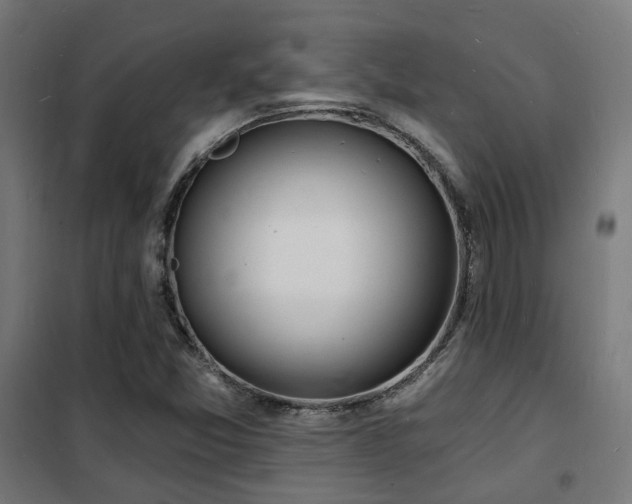 X0000102221357200807251201