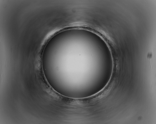 X0000102221358200807251201
