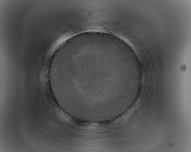 X0000102221359200807251201