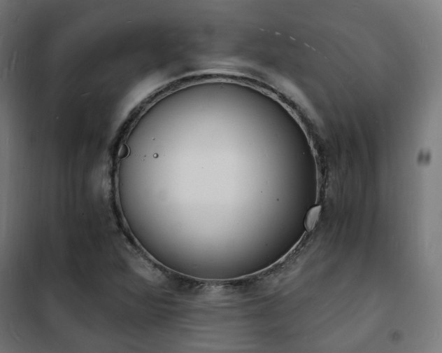 X0000102221360200807251201