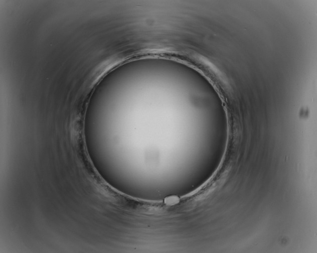X0000102221361200807251200