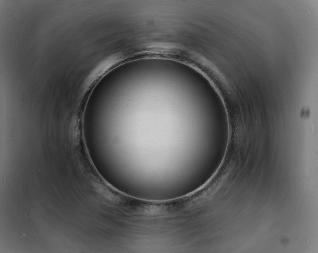 X0000102221362200807251200