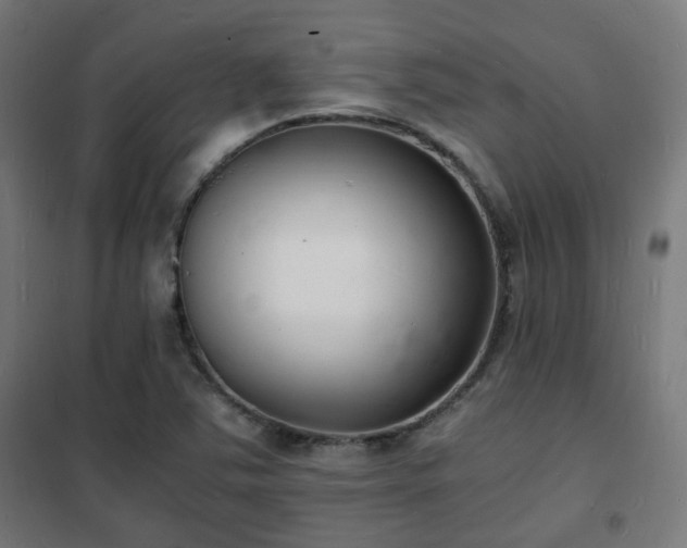 X0000102221363200807251200