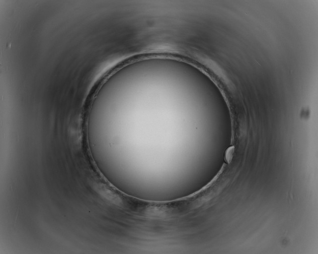 X0000102221364200807251200