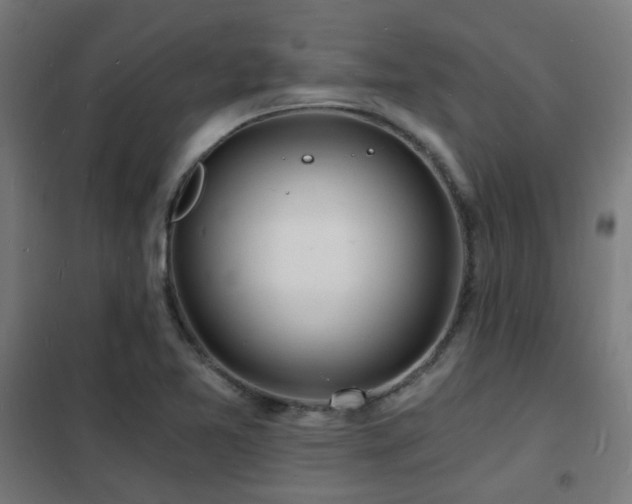 X0000102221365200807251200