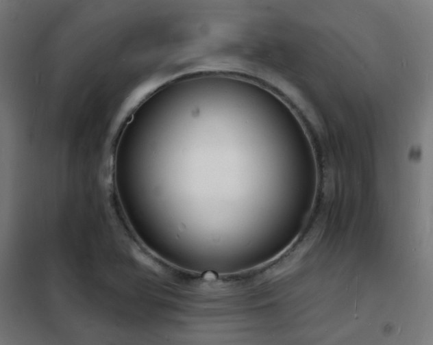 X0000102221366200807251200
