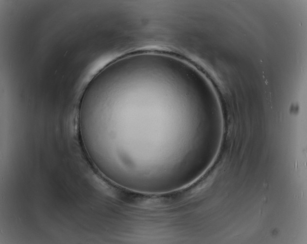 X0000102221367200807251200