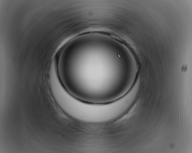 X0000102221369200807251200