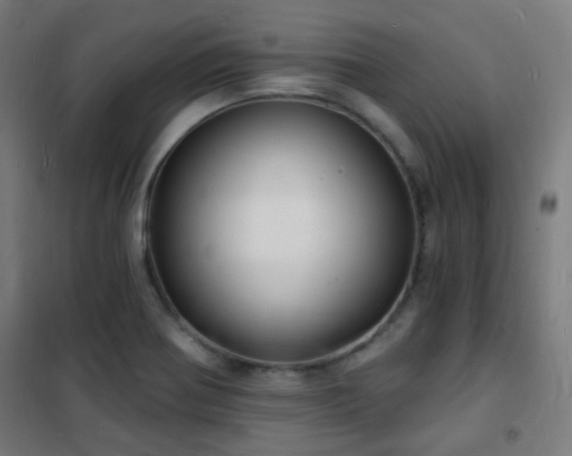 X0000102221370200807251200