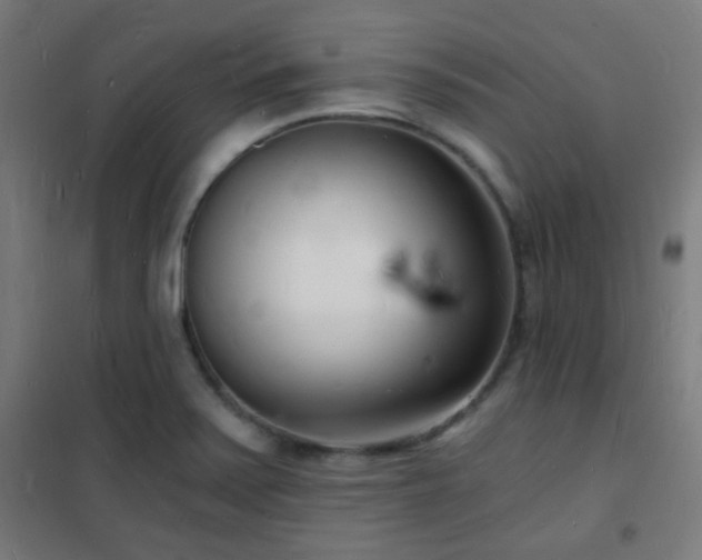 X0000102221371200807251200