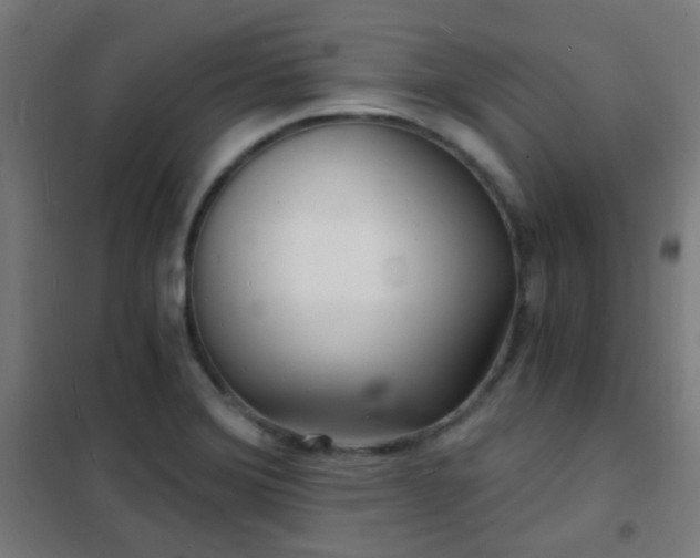 X0000102221372200807251200