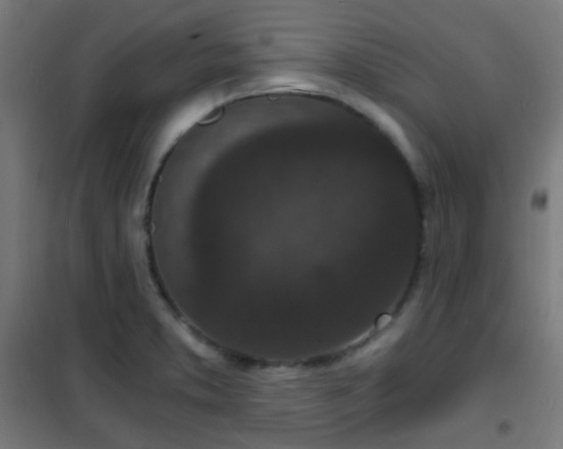 X0000102221373200807251200