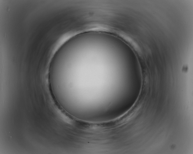 X0000102221375200807251200