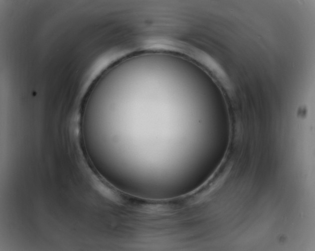 X0000102221376200807251200