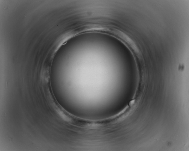 X0000102221377200807251200