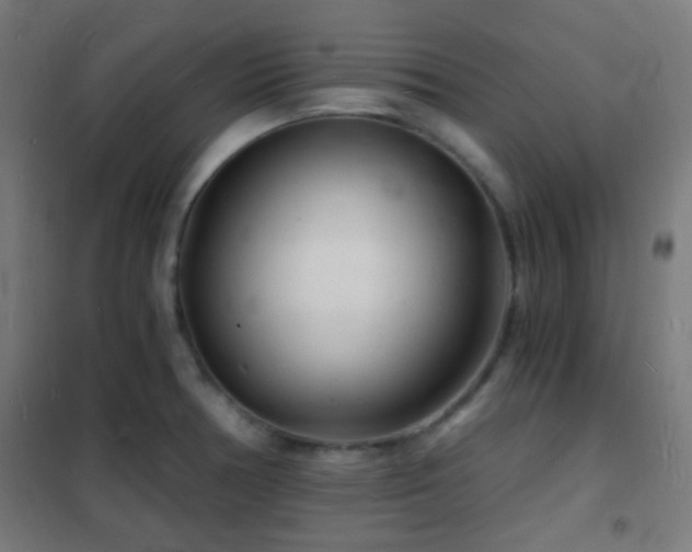 X0000102221378200807251200