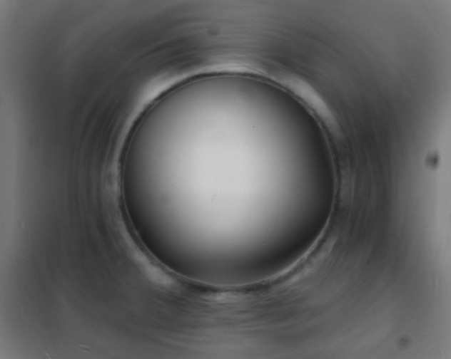 X0000102221380200807251200