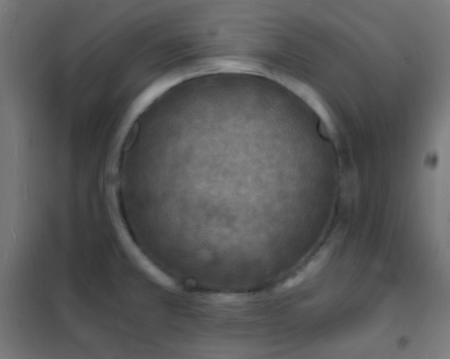 X0000102221381200807251200