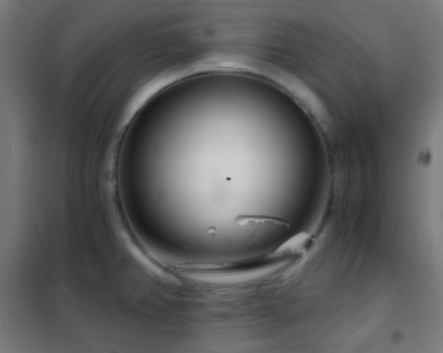 X0000102221382200807251200