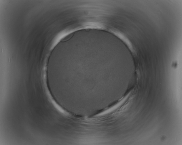X0000102221383200807251200