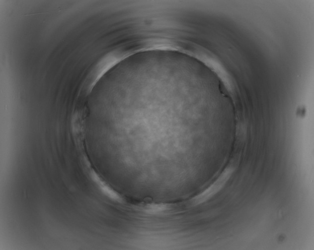X0000102221385200807251200