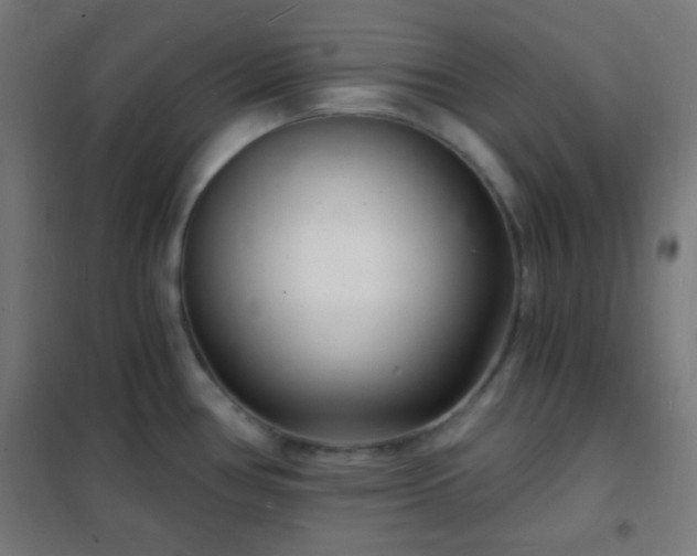 X0000102221386200807251200