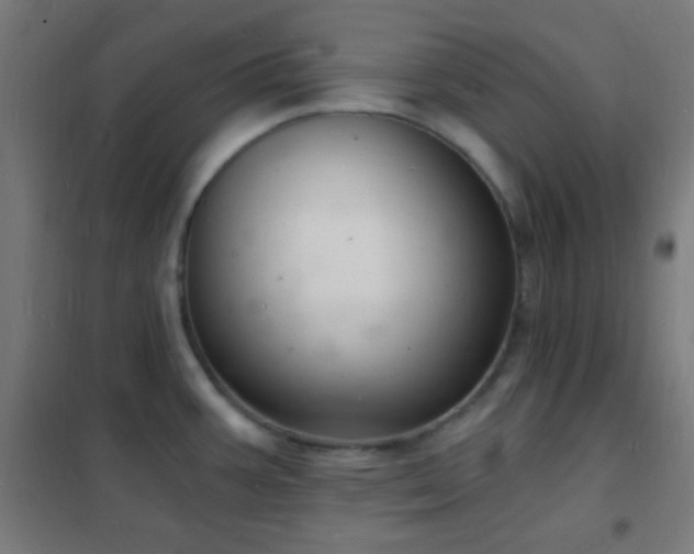 X0000102221387200807251200