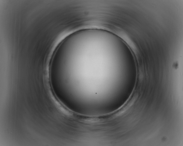 X0000102221388200807251200
