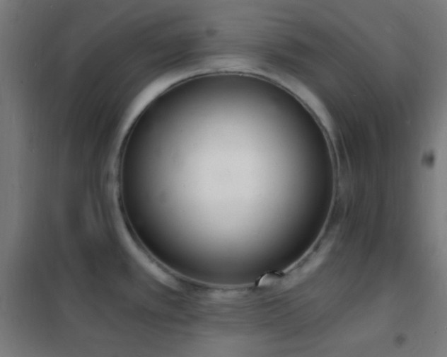 X0000102221389200807251200