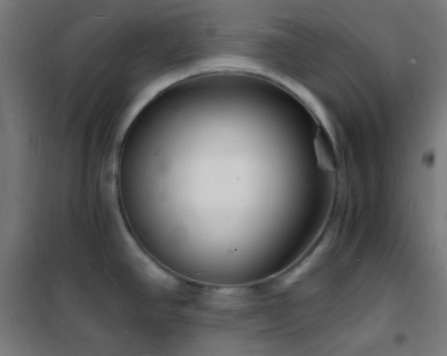 X0000102221390200807251200